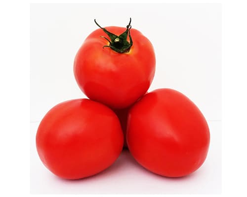 Tomate smarty f1 - Tomata Cherry - Megaplant Ecuador - Plantas de Tomate Riñón